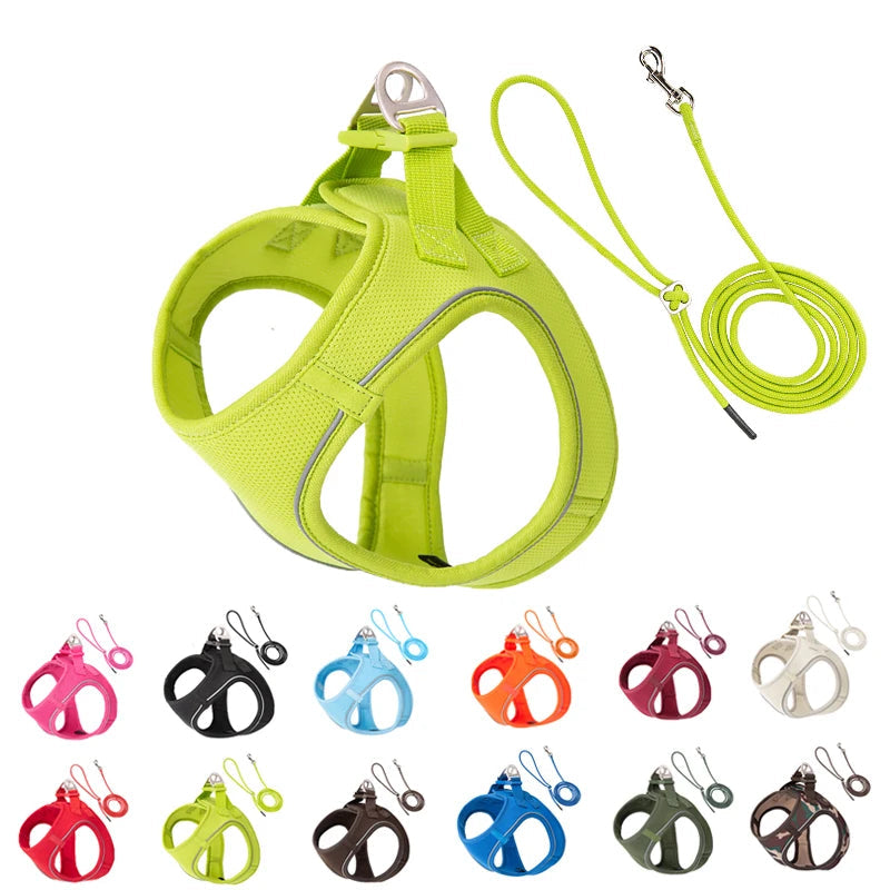Adjustable Reflective Dog Harness & Leash Set