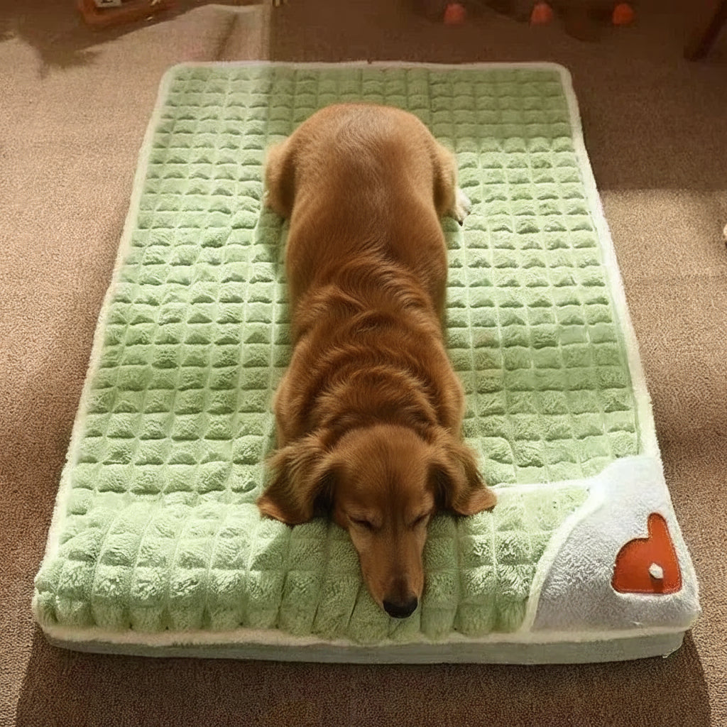 Orthopaedic Memory Foam Dog Bed