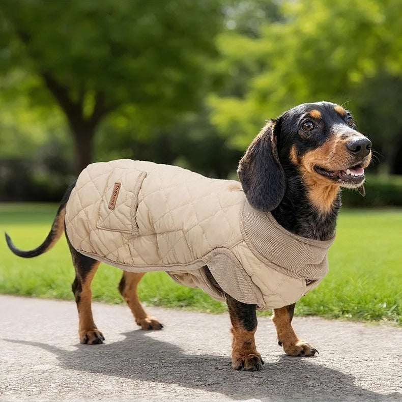 Quilted Winter Dachshund Coat