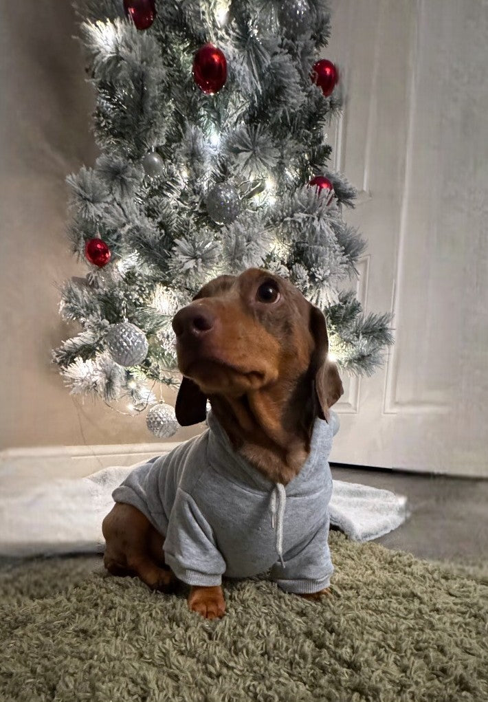 Cotton Doxie Hoodie