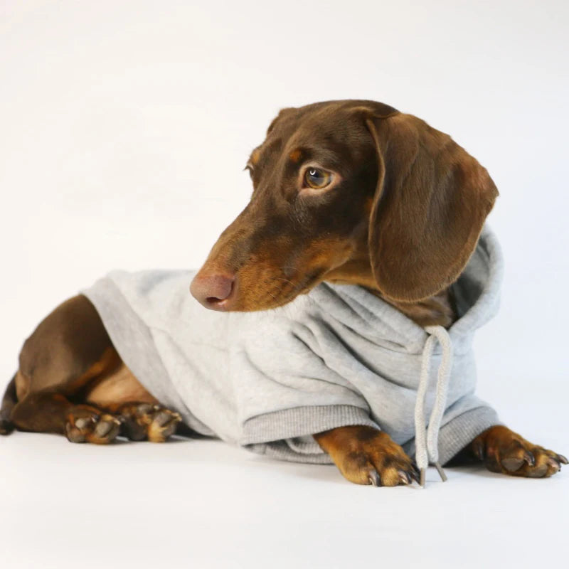 Cotton Doxie Hoodie