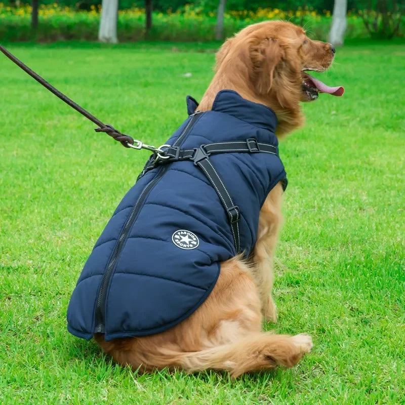 2 in 1 Waterproof Coat & Harness