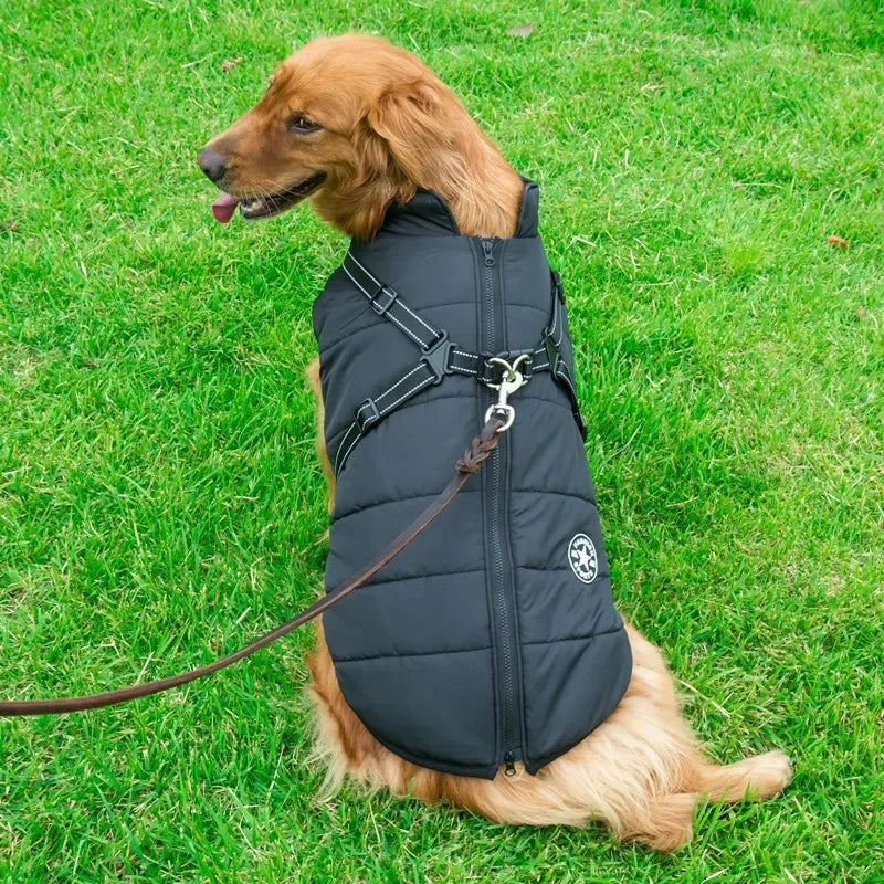 2 in 1 Waterproof Coat & Harness