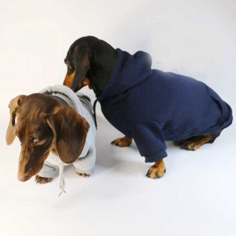 Cotton Doxie Hoodie