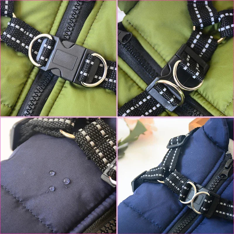 2 in 1 Waterproof Coat & Harness