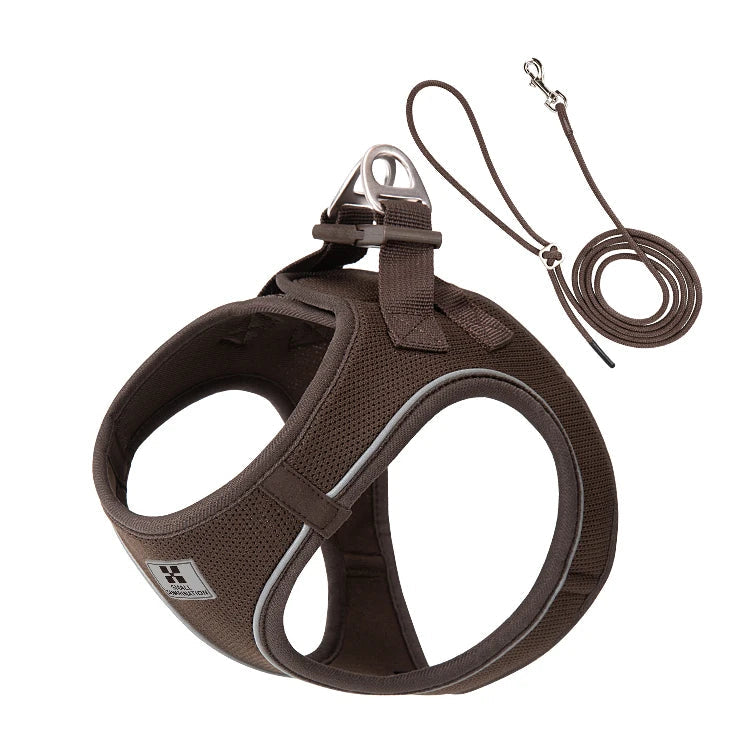 Adjustable Reflective Dog Harness & Leash Set