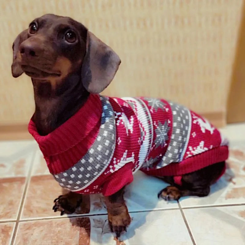 Knitted Dog Sweater