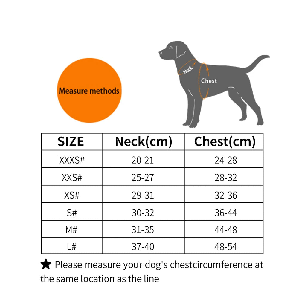 Adjustable Reflective Dog Harness & Leash Set