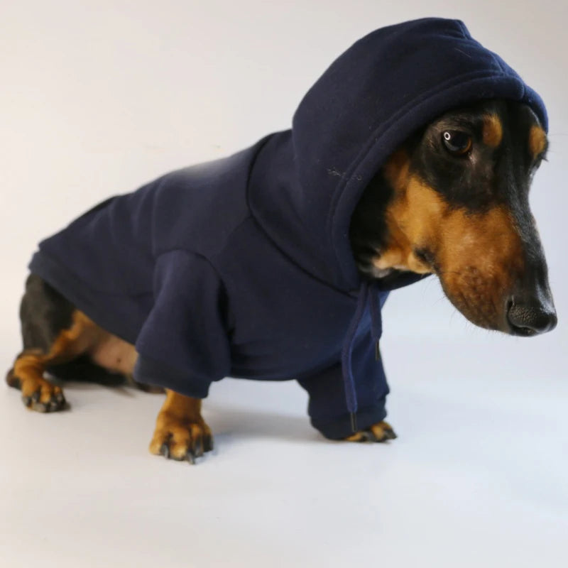 Cotton Doxie Hoodie