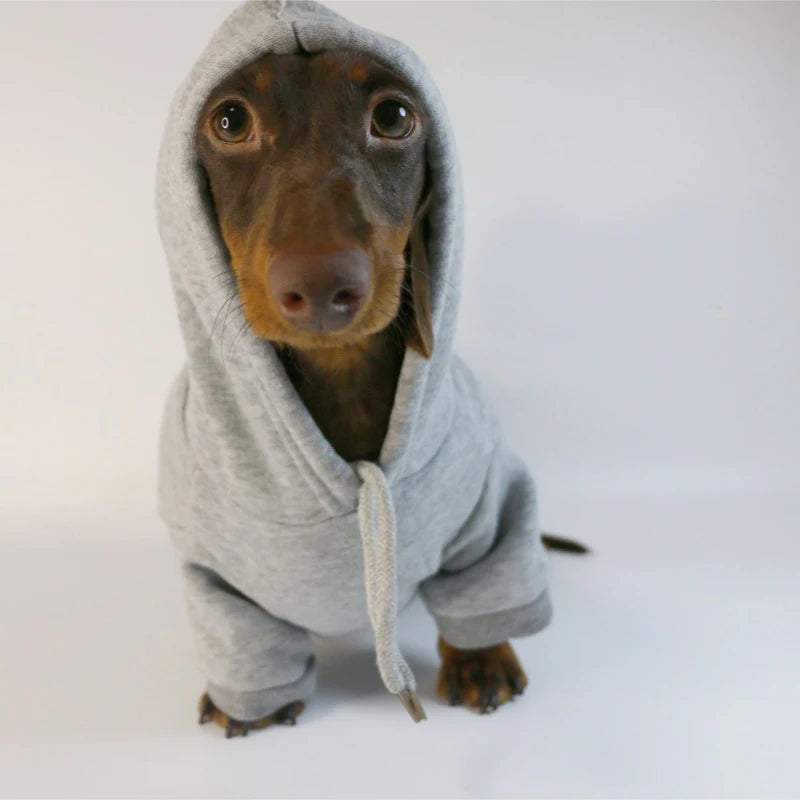Cotton Doxie Hoodie