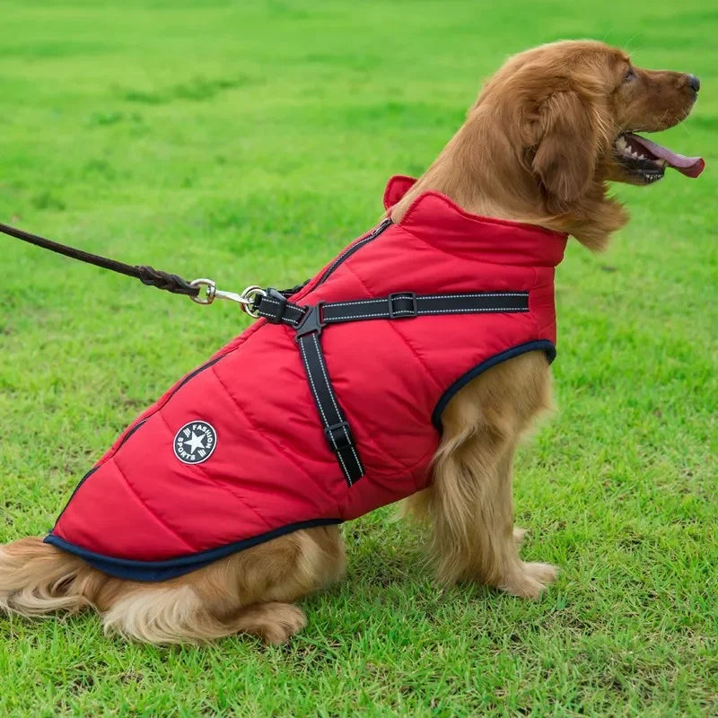 2 in 1 Waterproof Coat & Harness