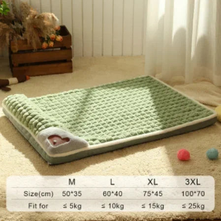 Orthopaedic Memory Foam Dog Bed