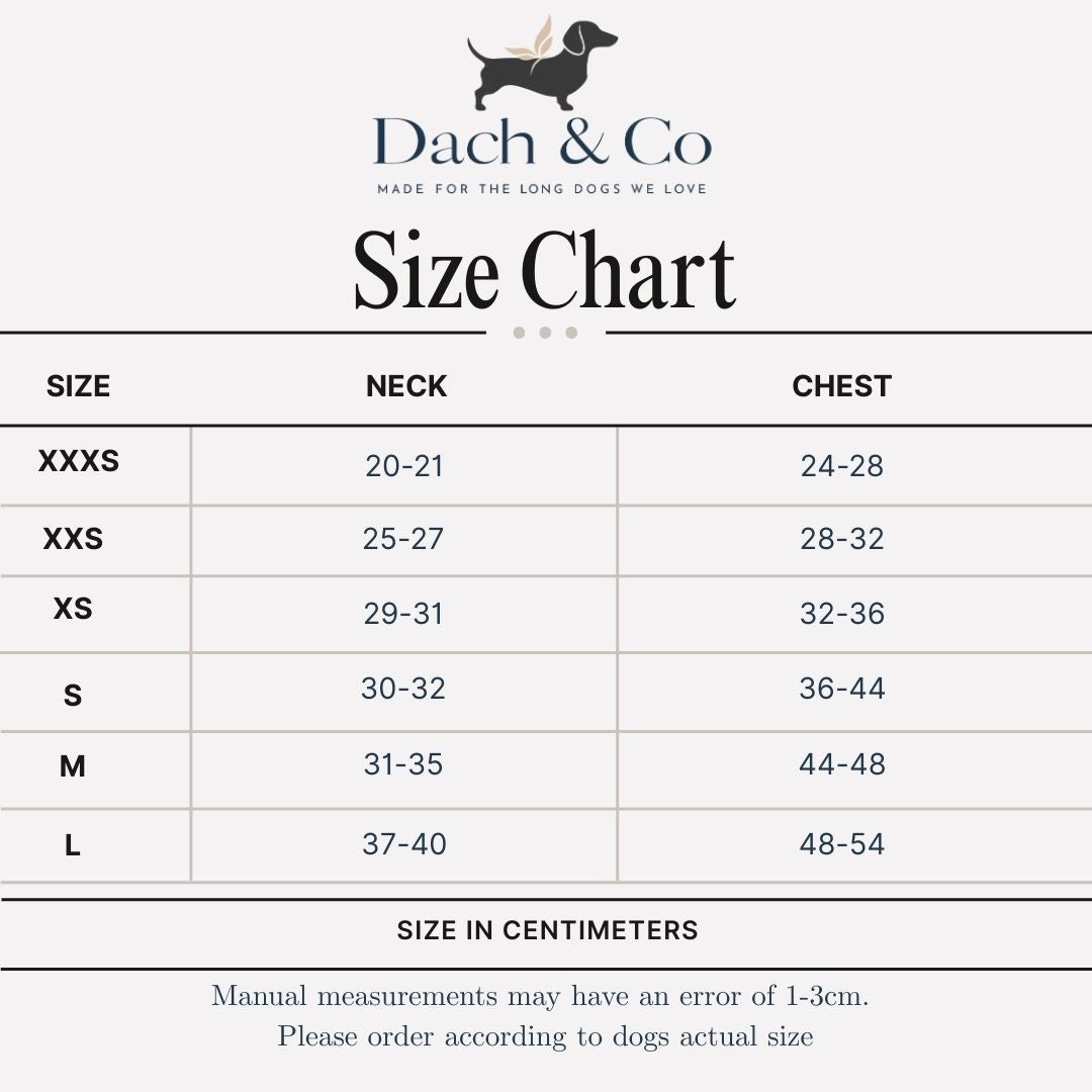 Adjustable Reflective Dog Harness & Leash Set