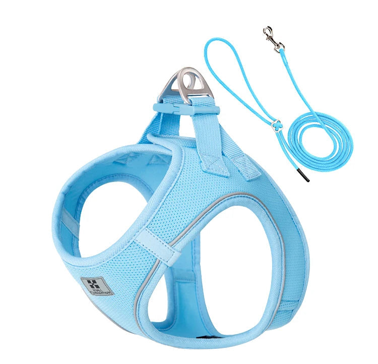 Adjustable Reflective Dog Harness & Leash Set